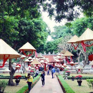 Vietnam Landscape 04