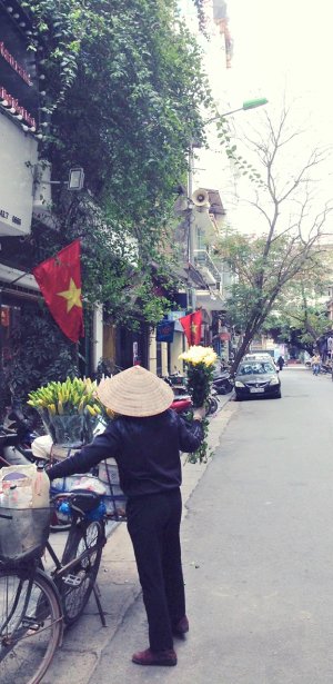 Vietnam Landscape 05